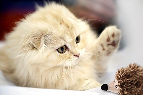 Vealind GiGwi Melody Chaser, interaktives Spielzeug für Katzen und Hunde (Igel)