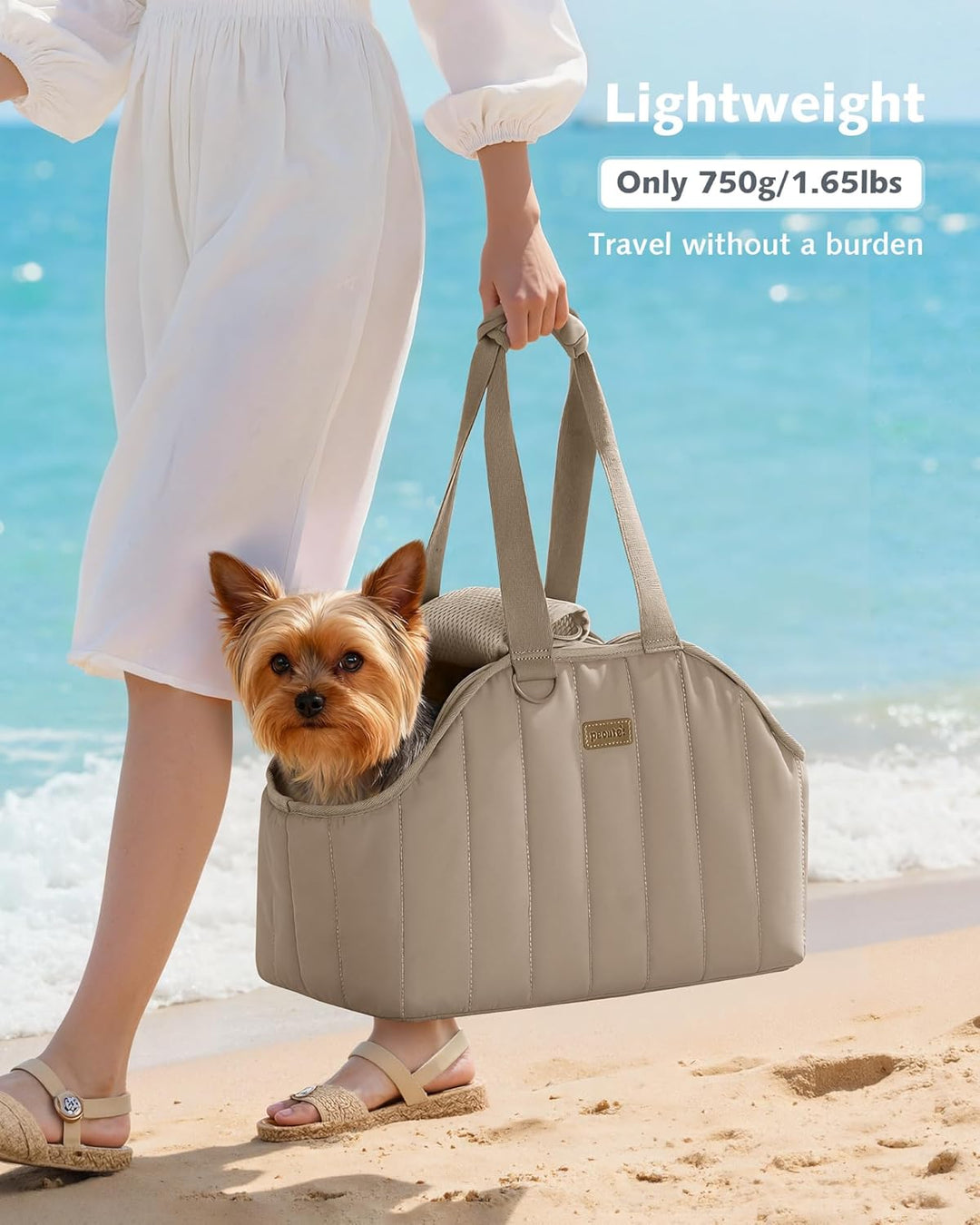 pecute Hundetasche für Kleine Hunde 4kg, Tragetasche Hund Hundetragetasche Leichte, Faltbare Hundetr