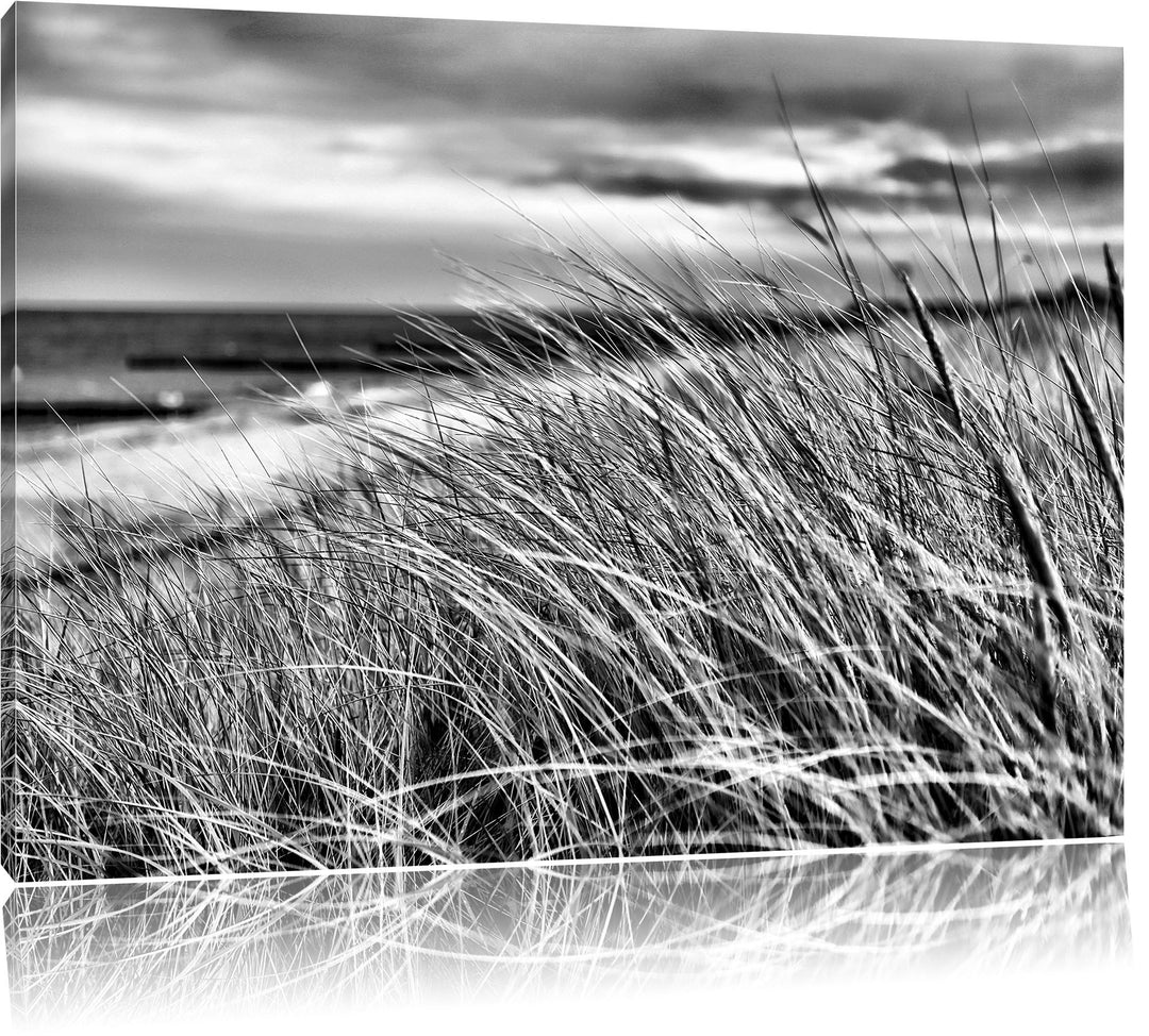 Pixxprint Schilf Gras am Ufer / 100x70cm Leinwandbild bespannt auf Holzrahmen/Wandbild Kunstdruck De