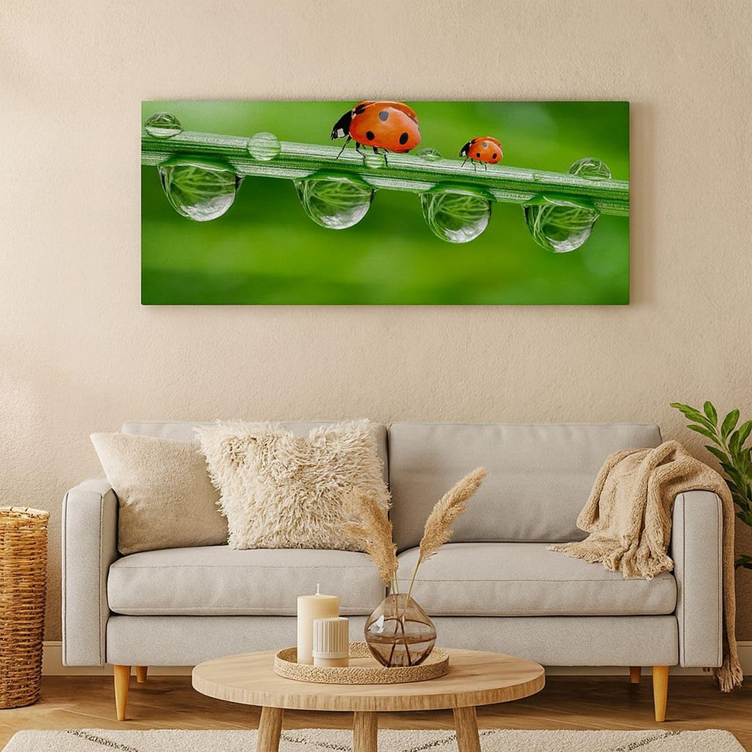 Wandbilder Dekoration Wohnzimmer Marienkäfer Wasser Grün Umwelt Panorama Bilder auf Leinwand 120x50c