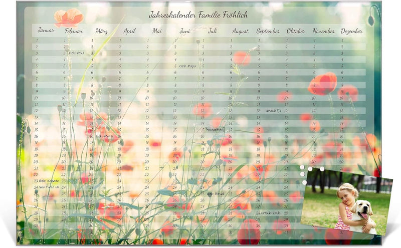 banjado® Wandkalender abwischbar aus Glas 90x60 cm/Jahresplaner abwischbar mit Motiv Mohnblumen/lang