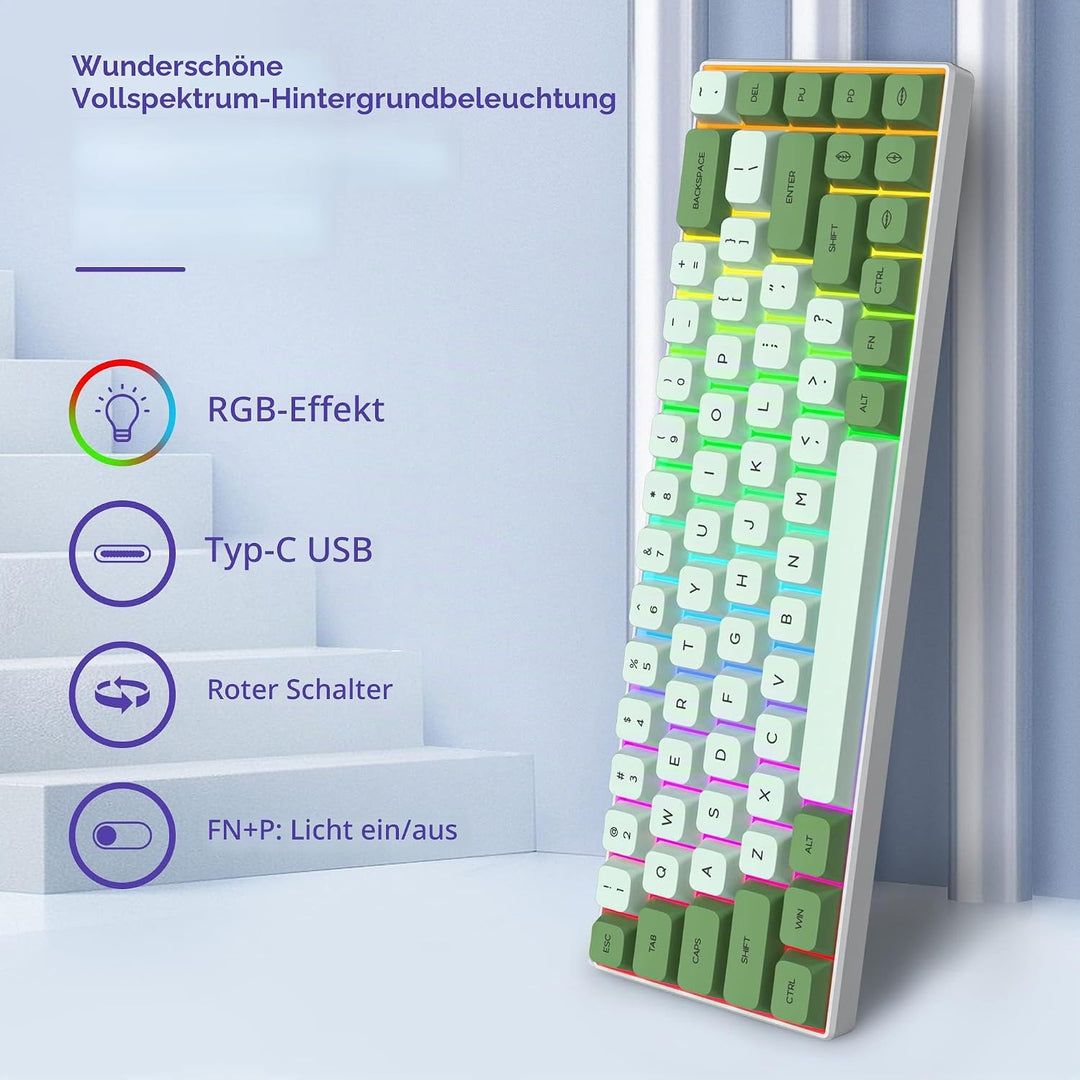 SOLIDEE Tragbare 65% mechanische Gaming-Tastatur,68 Tasten kompakte RGB LED-Hintergrundbeleuchtung,k