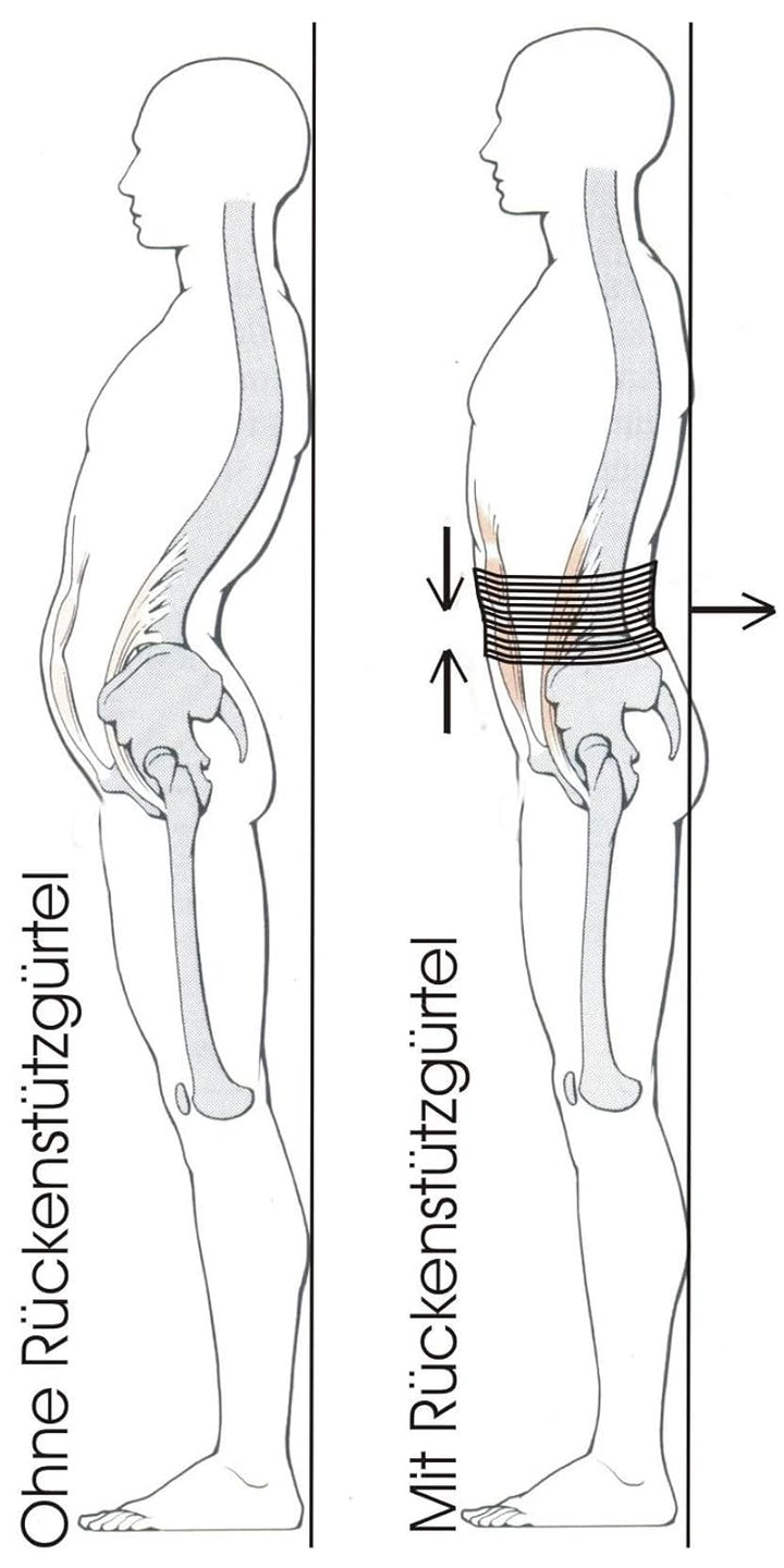 Gruber aktiv|er|leben Bauch und Rückenstützgürtel Bauchweggürtel Gr. 2 Slim (Breite 18,5 cm, Umfang
