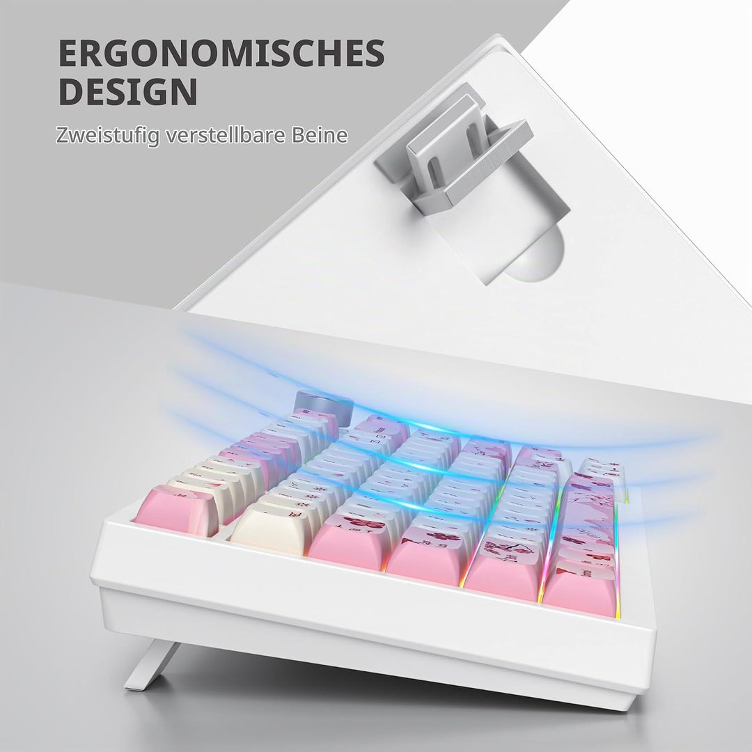 SOLIDEE Verkabelte 75% Mechanische Gaming-Tastatur,hot-swap-fähige Mechanische Tastatur mit Gasket S