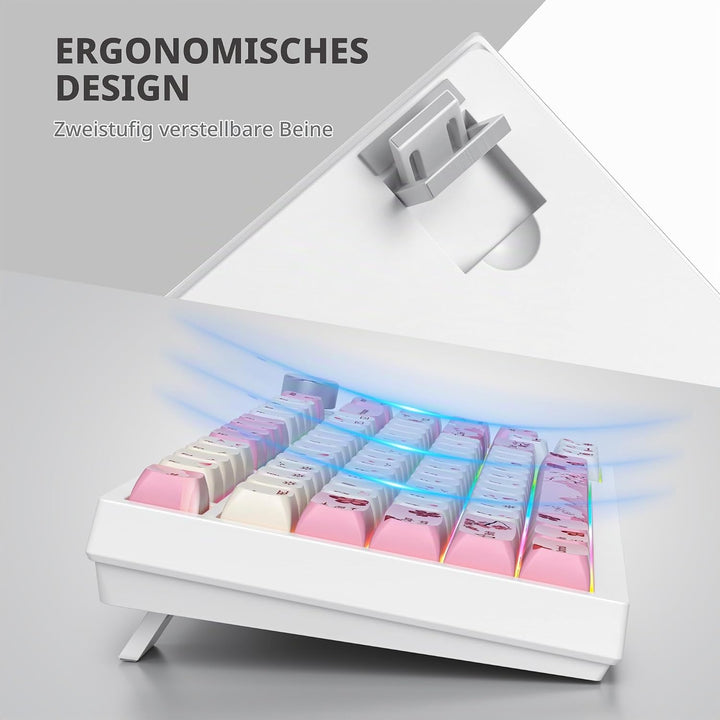 SOLIDEE Verkabelte 75% Mechanische Gaming-Tastatur,hot-swap-fähige Mechanische Tastatur mit Gasket S