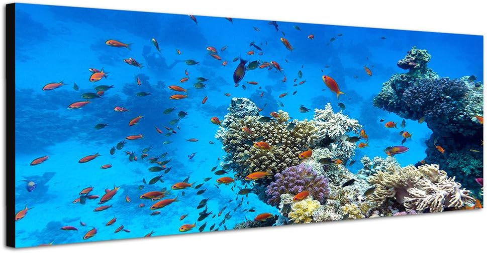 Paul Sinus Art Panoramabild auf Leinwand und Keilrahmen 150x50cm Meer Riff Korallen Fische