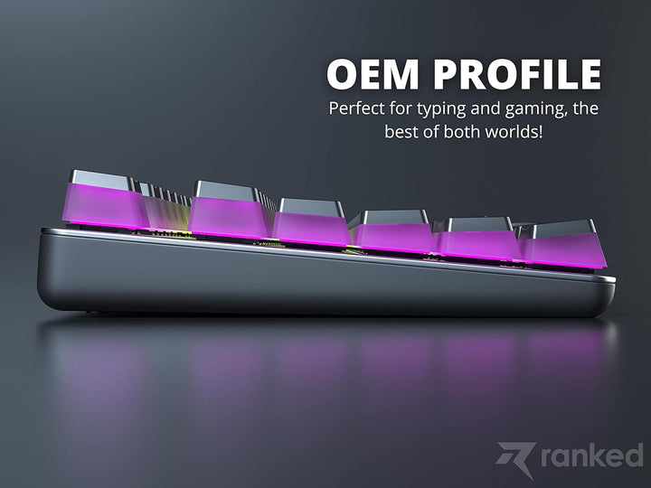 Ranked Pudding v2 PBT-Tastenkappen | 145 Double Shot Transluzent ANSI US- und ISO-Layout | OEM-Profi