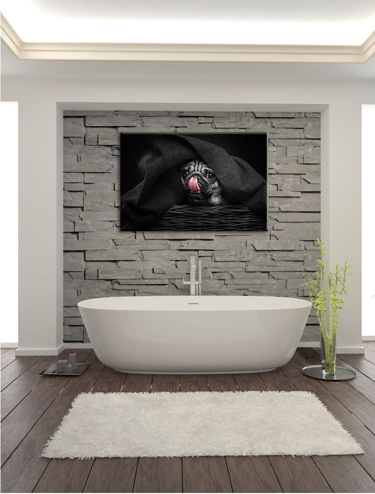 Pixxprint Süsser Mops unter der Decke als Leinwandbild/Grösse: 100x70 cm/Wandbild/Kunstdruck/fertig