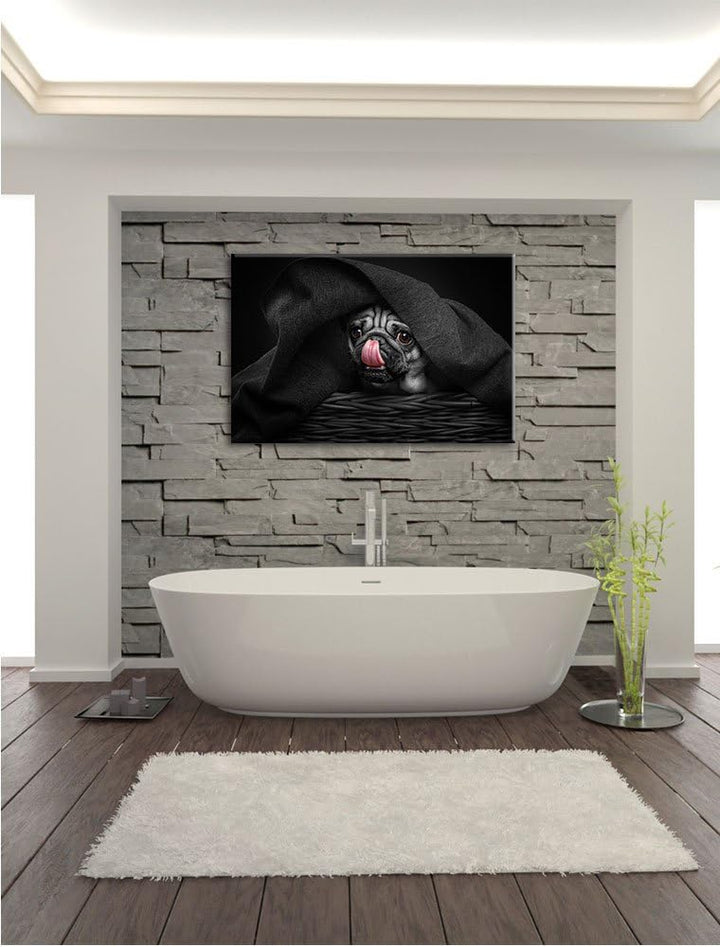 Pixxprint Süsser Mops unter der Decke als Leinwandbild/Grösse: 100x70 cm/Wandbild/Kunstdruck/fertig