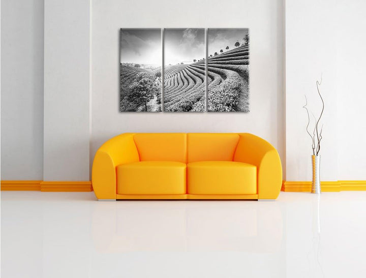 Pixxprint Japanische Treppenfelder Kunst B&W als Leinwandbild | Grösse: 3 Teilig (120x80) | Wandbild