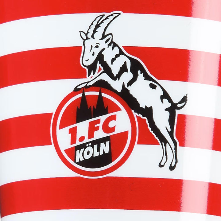 1. FC Köln Zahnpflege-Set (2 Zahnbürsten + Zahnputzbecher) - Plus Lesezeichen I Love Köln