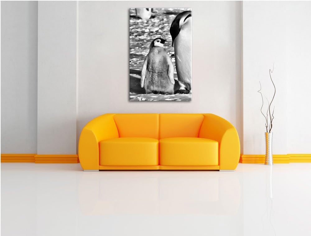 Pixxprint Kaiserpinguin mit Küken / 100x70cm Leinwandbild bespannt auf Holzrahmen/Wandbild Kunstdruc