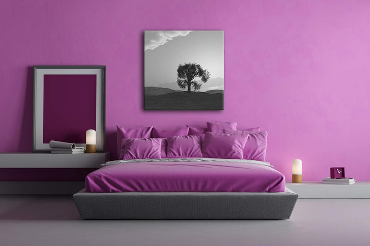 einsamer Baum in der Weite Format: 60x60 Effekt: Schwarz&Weiss als Leinwandbild, Motiv fertig gerahm
