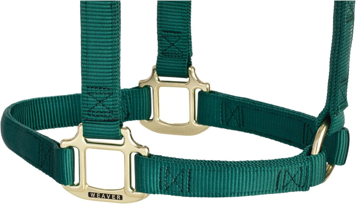 WEAVER Leather, Nicht verstellbares Halfter Jäger-Grün Large Horse, Jäger-Grün Large Horse
