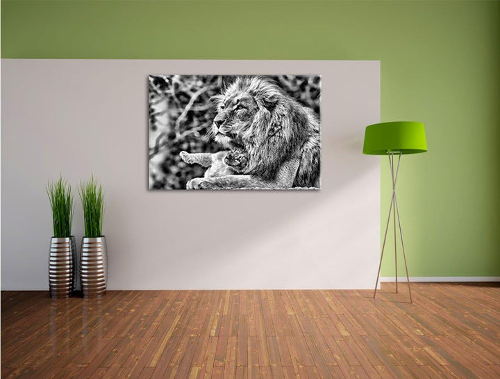 Pixxprint Monocrome, liebevoller Löwe mit Jungtier, Format: 100x70 auf Leinwand, riesige Bilder fert