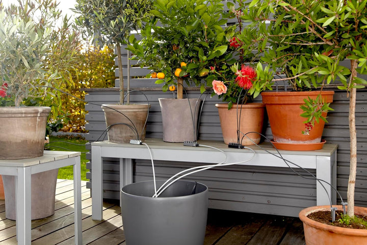 Gardena city gardening Urlaubsbewässerung: Pflanzenbewässerungs-Set für drinnen und draussen, indivi