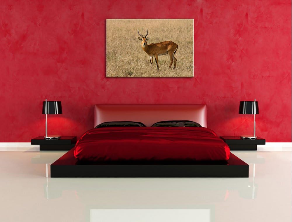 Dorkasgazelle im trockenen Gras Leinwand, XXL riesige Bilder fertig gerahmt mit Keilrahmen, Kunstdru