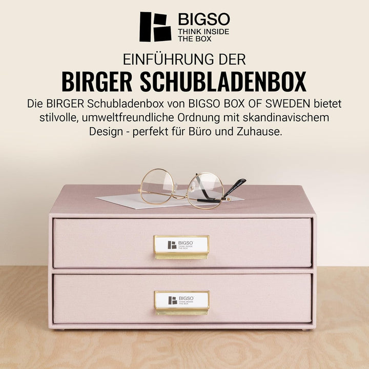 BIGSO BIRGER Schubladenbox – Aufbewahrungsbox mit 2 Schubladen – Schreibtisch Ablage für Dokumente &