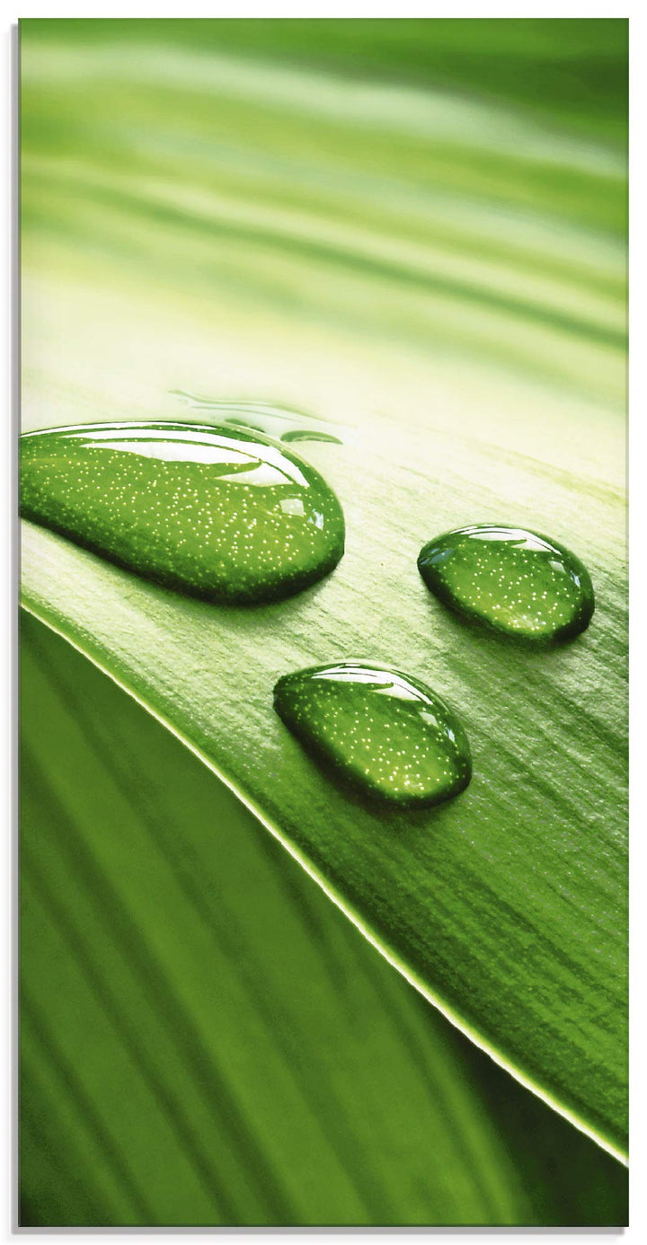 ARTland Glasbilder Wandbild Glas Bild einteilig 30x60 cm Hochformat Natur Pflanzen Blätter Wassertro