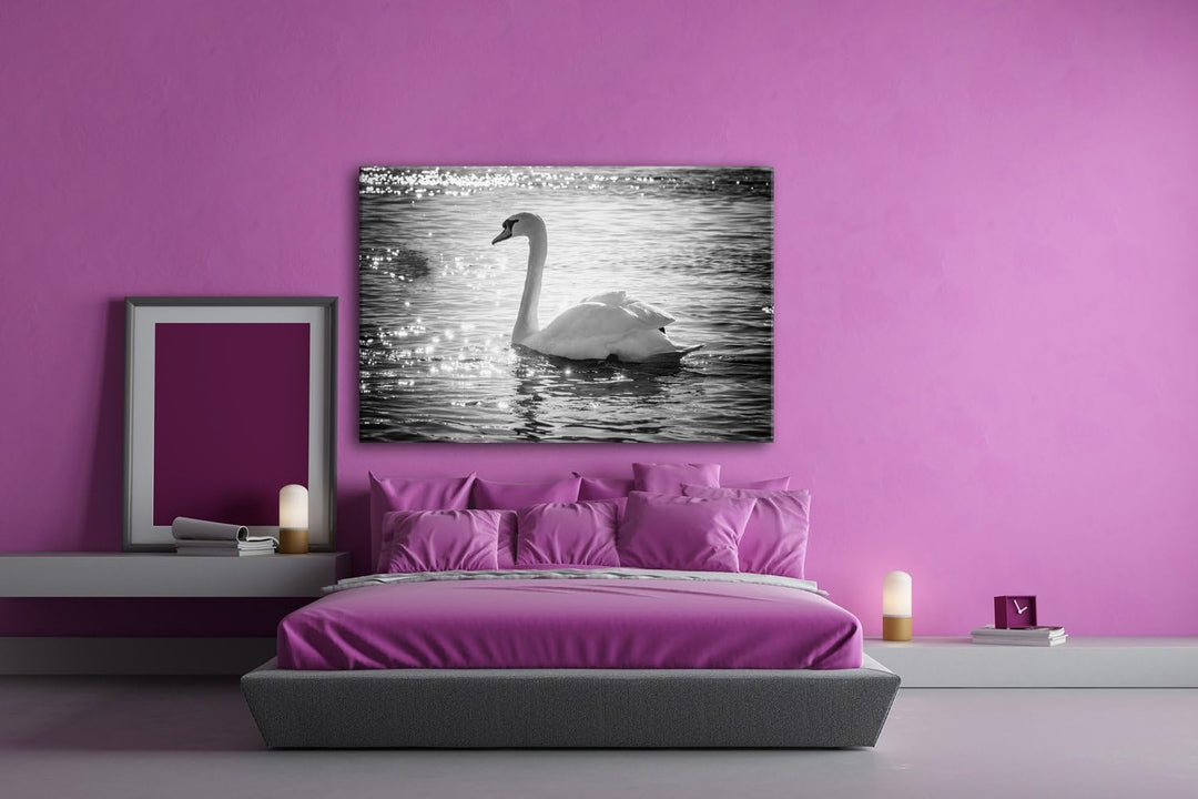 deyoli eleganter Schwan Format: 80x60 Effekt: Schwarz/Weiss als Leinwand, Motiv fertig gerahmt auf E