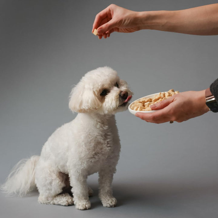 All Natural gefriergetrocknete Wild Alaskan Lachs Leckerlis für Katzen und Hunde – Einzelbestandteil