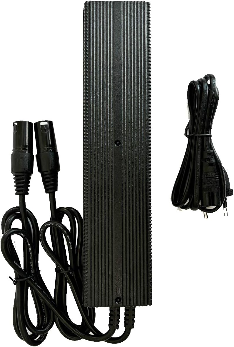 Enerpower Li-Ion Duales Ladegerät 36V ersetzt Derby Cycle Impulse 2A -XLR-4 für Kalkhoff, Raleigh Do