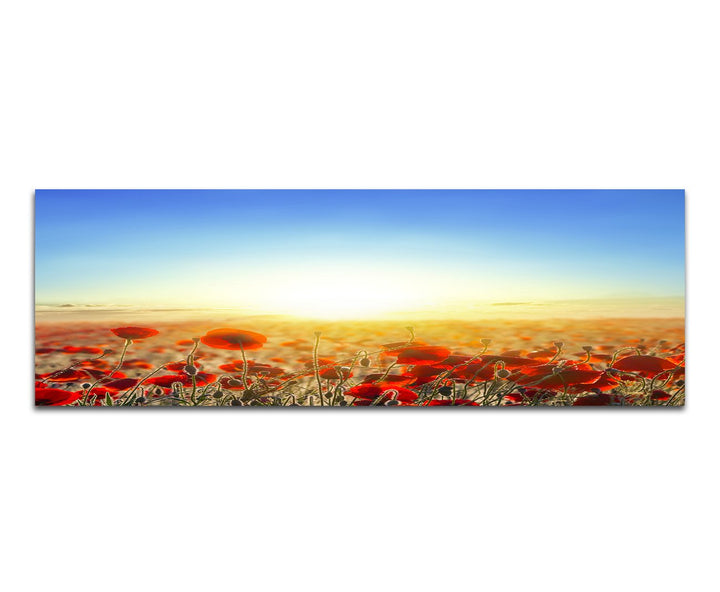 Paul Sinus Art Panoramabild auf Leinwand und Keilrahmen 150x50cm Mohnblumen Wiese Sonnenaufgang