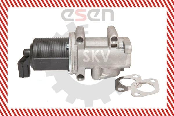 ESEN SKV 14SKV055 AGR-Ventile