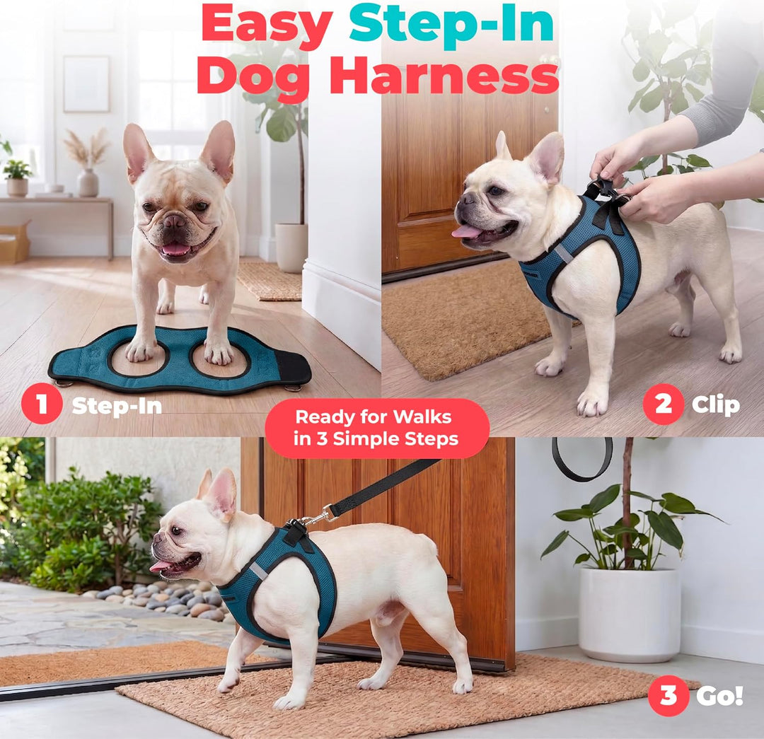 Voyager Step-in-Air-Hundegeschirr, Allwetter-Netzgewebe für kleine und mittelgrosse Hunde und Katzen