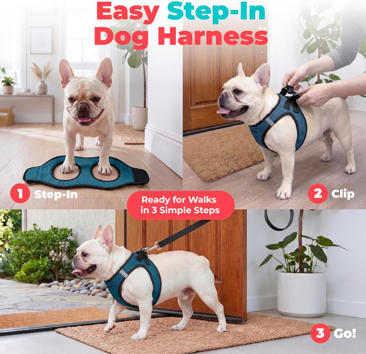 Voyager Step-in-Air-Hundegeschirr, Allwetter-Netzgewebe für kleine und mittelgrosse Hunde und Katzen