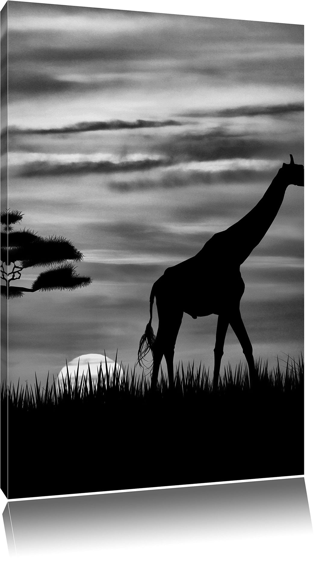 Pixxprint Giraffe im Sonnenuntergang / 100x70cm Leinwandbild bespannt auf Holzrahmen/Wandbild Kunstd