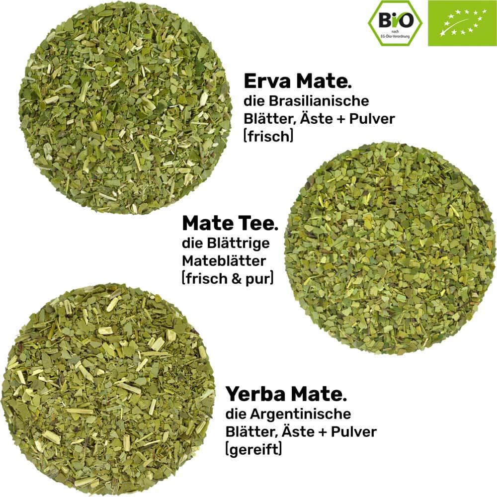 Mate Tee Set Keramik ● 3 Bio Matesorten + Matebecher + Bombilla + Zubereitungsanleitung (grün), grün