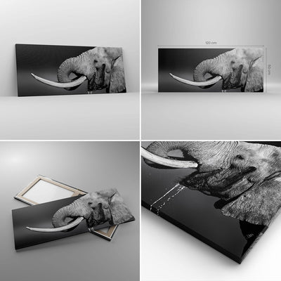 Wandbilder Dekoration Wohnzimmer Elefant Stosszahn Natur Panorama Bilder auf Leinwand 120x50cm Leinw