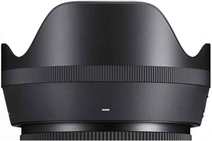 Sigma 35mm F1,4 DG DN Art Objektiv für L-Mount, Für L-Mount