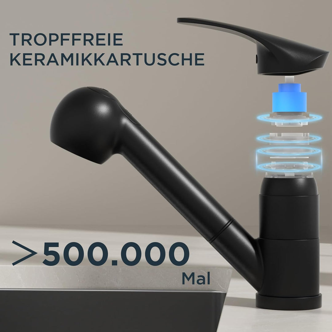 FORIOUS Wasserhahn Küche Schwarz, Edelstahl Spültischarmatur mit Brause, Einhebelmischer Küchenarmat