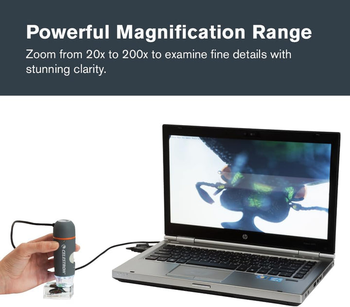 Celestron 44308 5 MP Handheld-Digitalmikroskop Pro Einzeln, Einzeln