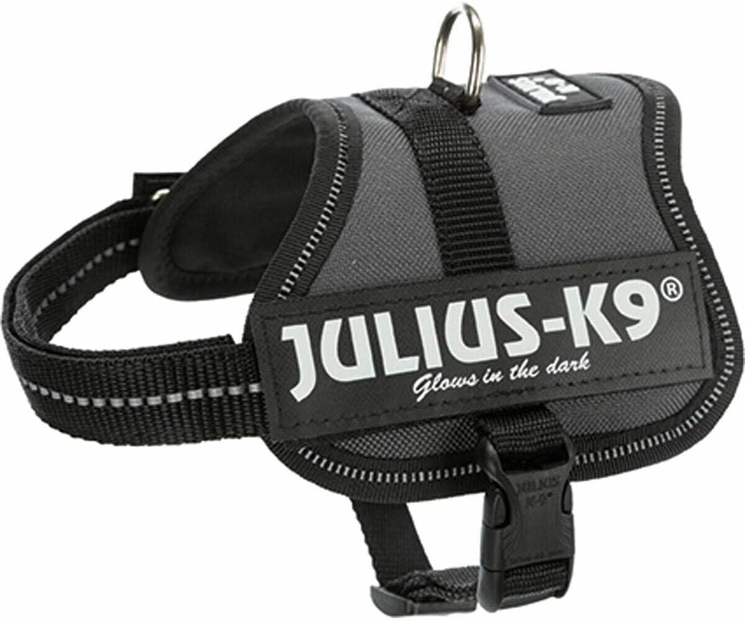 K9 Powergeschirr, Grösse: XS/Mini-Mini, Anthrazit XS/Mini-Mini Anthrazit, XS/Mini-Mini Anthrazit
