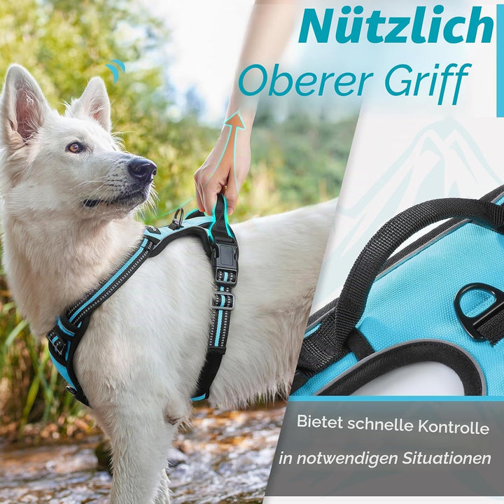 Eagloo Hundegeschirr Kleine Hunde, Anti Zug Hundegeschirr mit Reflexstreifen und Kontrolle, Verstell