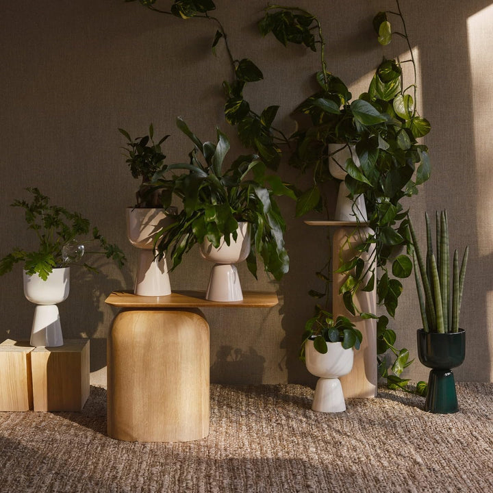 Iittala 1052354 Nappula Blumentopf, Keramik, Beige, 230x155mm 230x155mm Beige, 230x155mm Beige