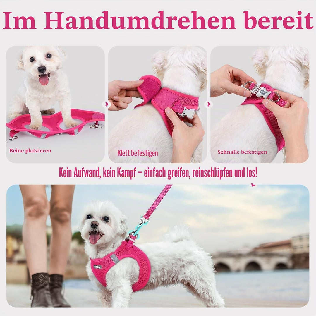 rabbitgoo Hundegeschirr Kleine Hunde mit Leine, Step-in Welpengeschirr Weich Mesh für Spaziergänge,