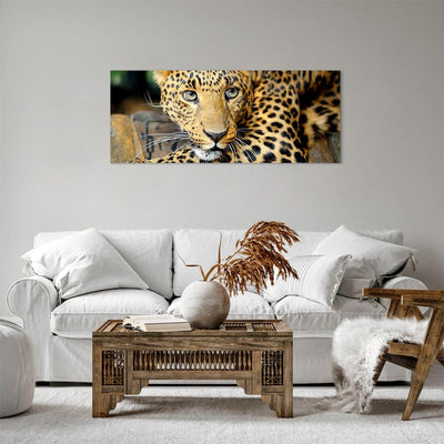 Panorama Bilder auf Leinwand 100x40cm Leinwandbild Tiere gefährlich wilde katze Gross Wanddeko Bild