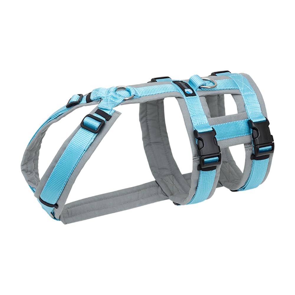 Anny-X Brustgeschirr Safety Fun Grau-Eisblau | Ausbruchsicheres Hundegeschirr mit Taillengurt | Grös