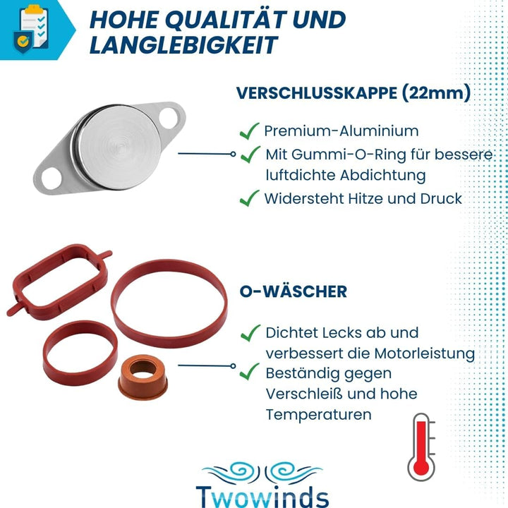 Twowinds Entstörungssatz 6 Eingangsventile (22mm). Vermeiden Sie Motorausfälle E87 E46 E60 E61 320d