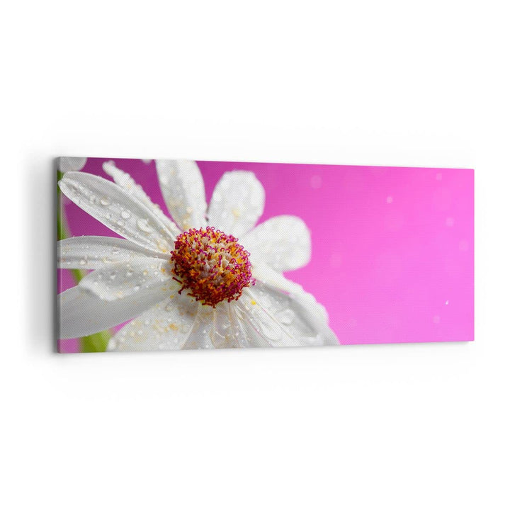 Wandbilder Dekoration Wohnzimmer Blume frühling garten Panorama Bilder auf Leinwand 120x50cm Leinwan