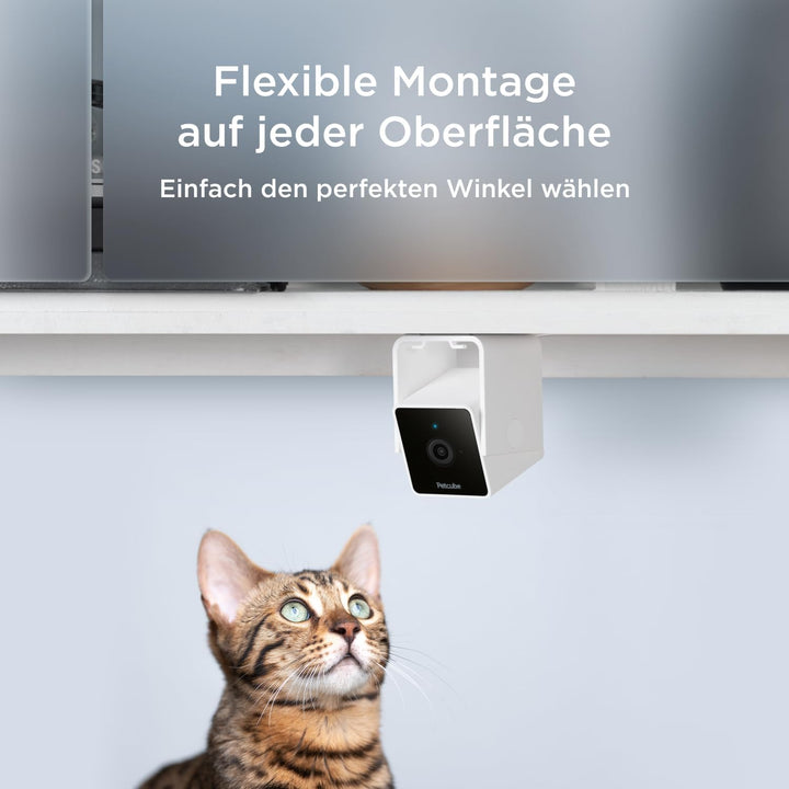 Petcube Cam Pet Monitoring Camera (Haustierüberwachungskamera) mit integriertem Tierarzt-Chat für Ka