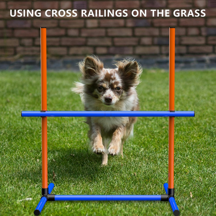 Agility-Trainingsset für Hunde, Hindernisset mit Slalomstangen, Hundesport-Ausrüstung, für Grosse un