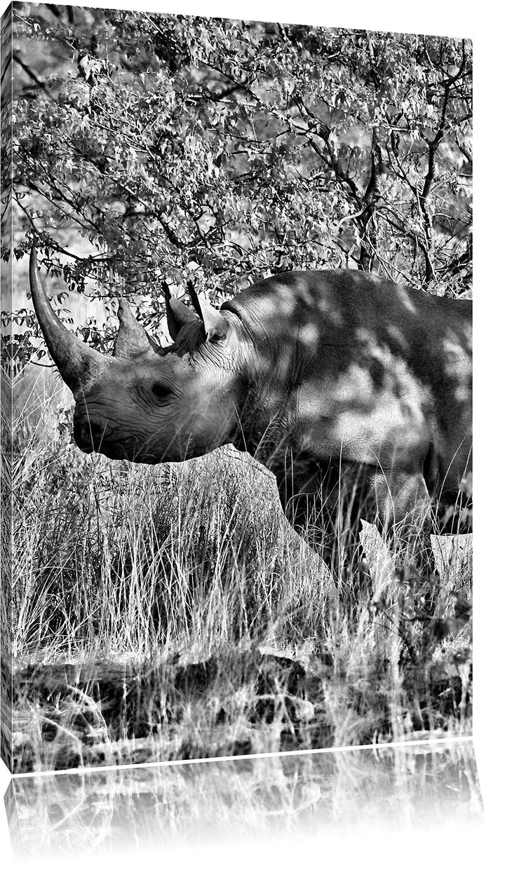 Pixxprint Nashorn in der Savanne als Leinwandbild/Grösse: 100x70 / Wandbild/Kunstdruck/fertig bespan