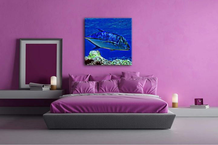 deyoli Blauer Fisch im klaren Wasser Format: 70x70 Effekt: Zeichnung als Leinwandbild, Motiv auf Ech