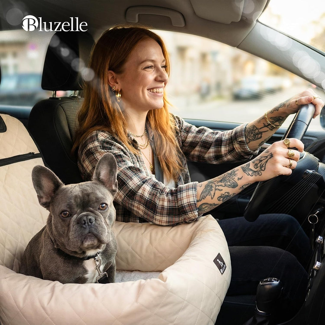 Hunde Autositz Auto Hundesitz, 2-in-1 Hundebett Hundekorb für kleine & mittelgrosse Hunde, Oxford St