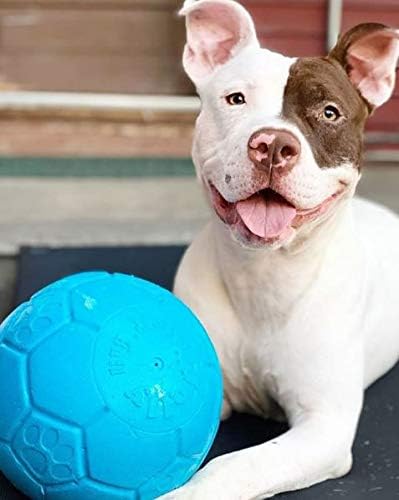 Jolly Pets,Hund - Fussball - Meerblau - 20 cm - 1 Stück, Multi, Large/X-Large, SB08 Ocean Large / X